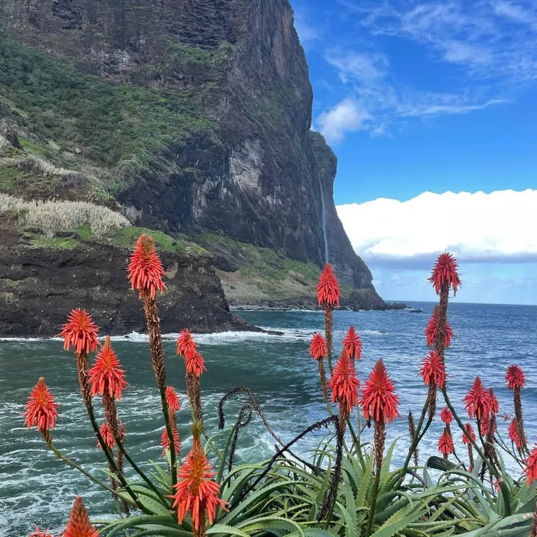 Küste und Meer auf Madeira